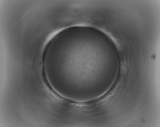 X0000092051319200709191113