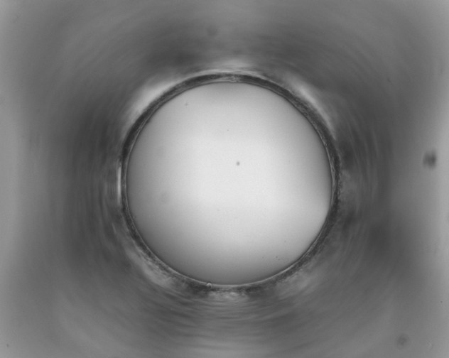 X0000092051320200709191113