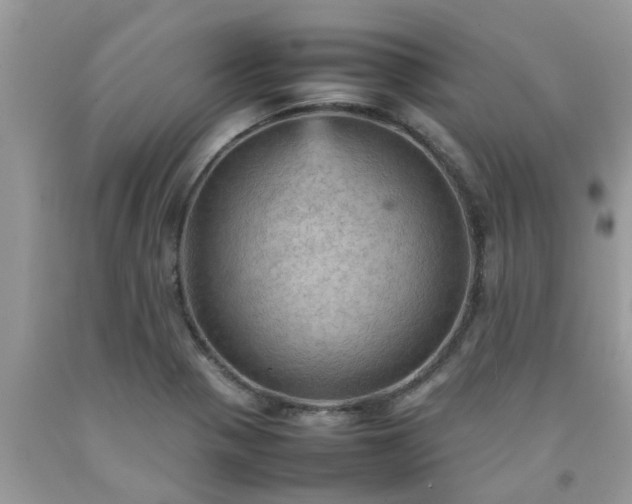 X0000092051321200709191113