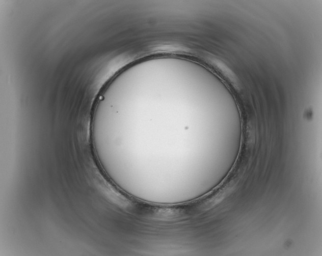 X0000092051322200709191113