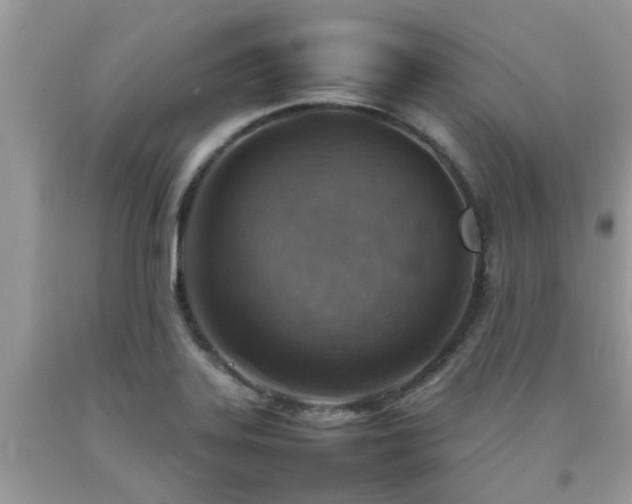 X0000092051323200709191113