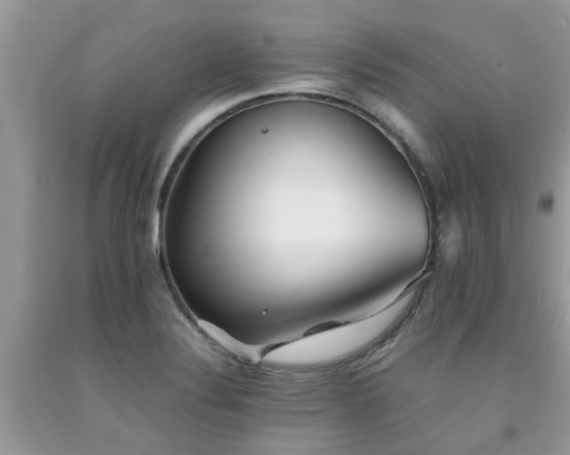 X0000092051324200709191113