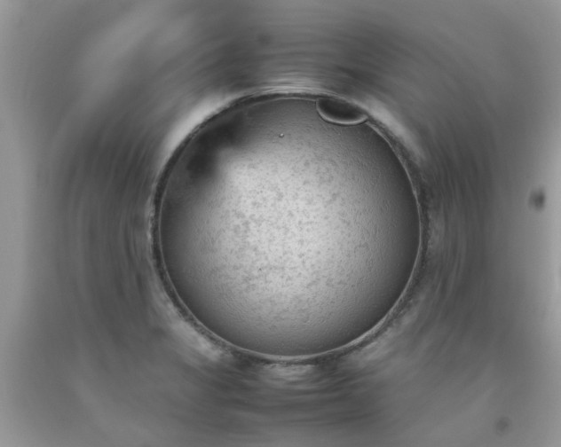 X0000092051325200709191113