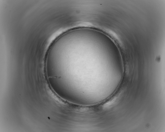 X0000092051326200709191113