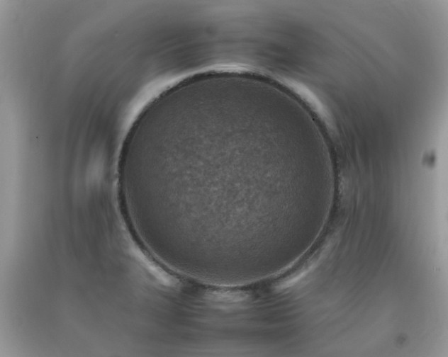 X0000092051327200709191113