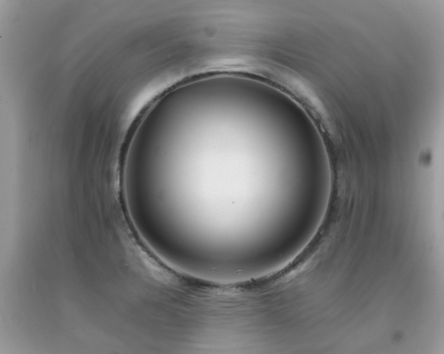 X0000092051328200709191113