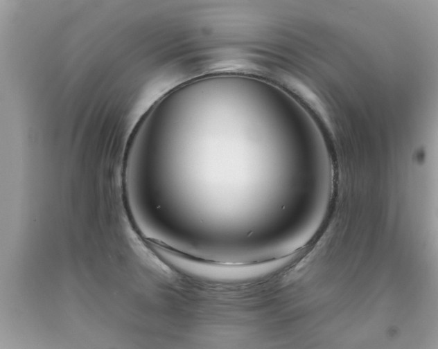 X0000092051330200709191113