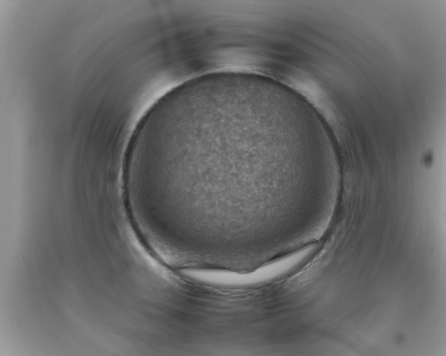 X0000092051331200709191113