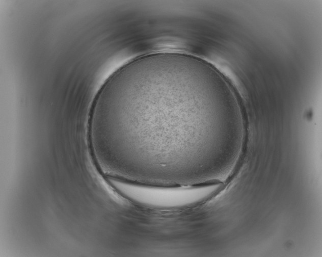 X0000092051333200709191113