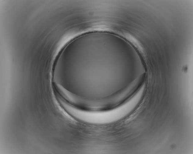 X0000092051334200709191113