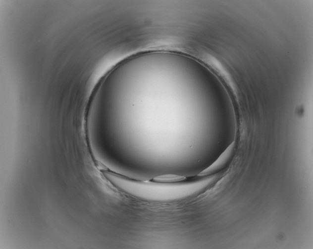 X0000092051336200709191113