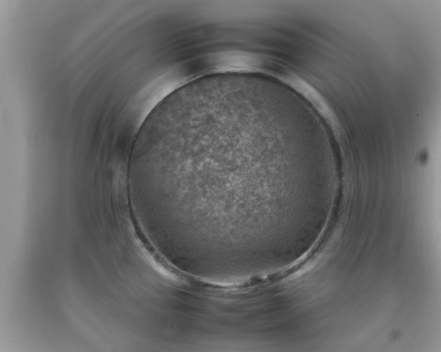 X0000092051337200709191113