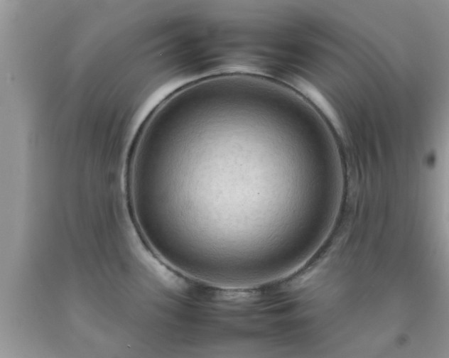 X0000092051339200709191113