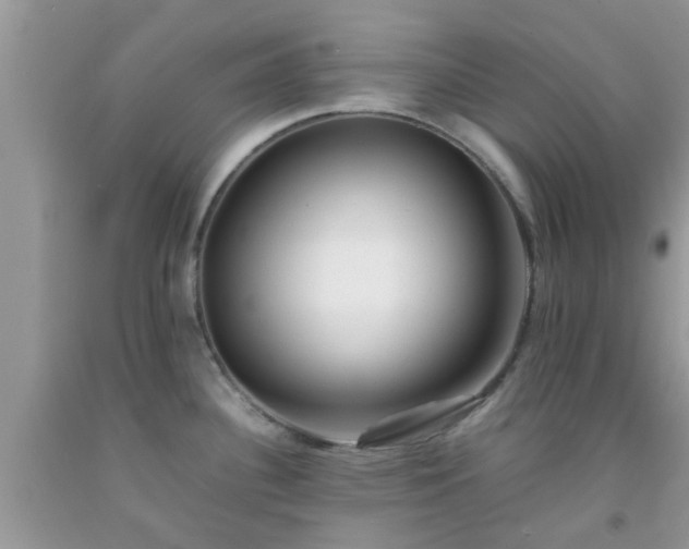 X0000092051340200709191113