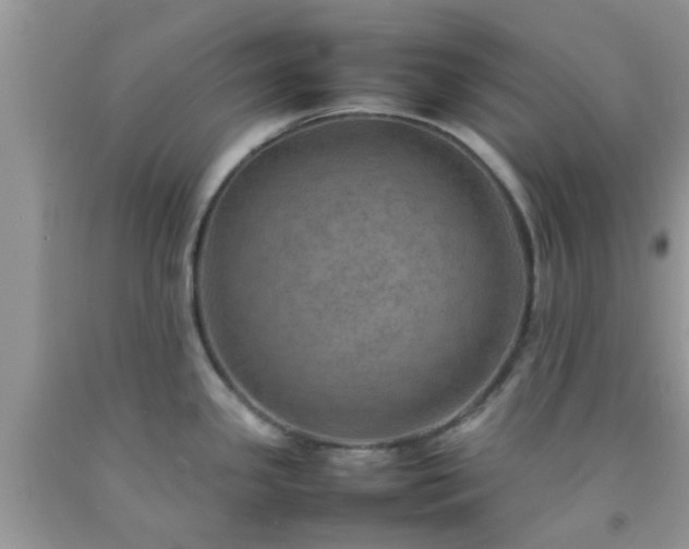 X0000092051341200709191113