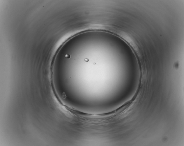 X0000092051342200709191113