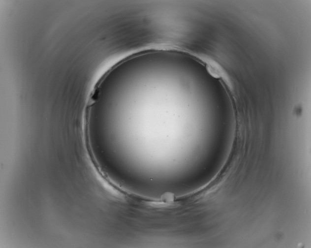 X0000092051343200709191113