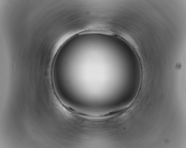 X0000092051344200709191113