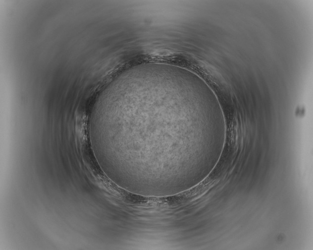 X0000092051346200709191112