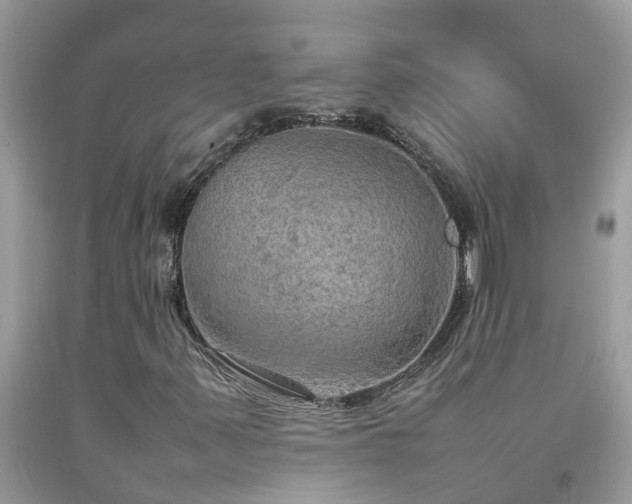 X0000092051347200709191112