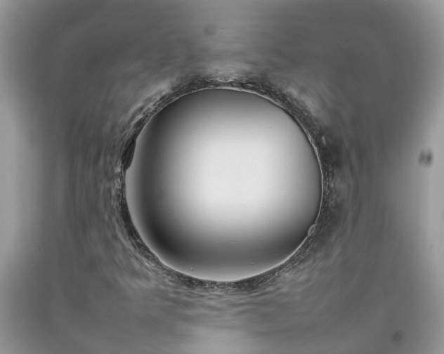 X0000092051349200709191112