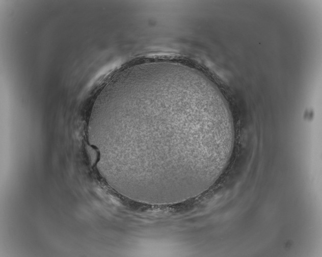 X0000092051351200709191112