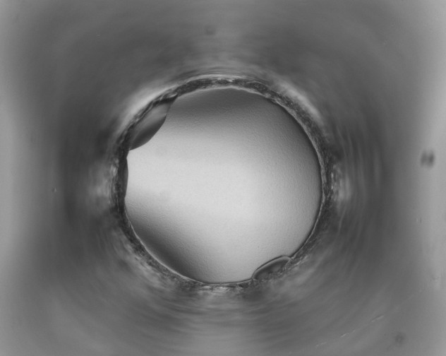 X0000092051352200709191112