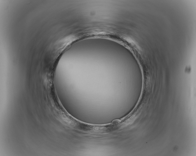 X0000092051353200709191112