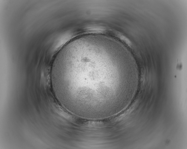 X0000092051354200709191112