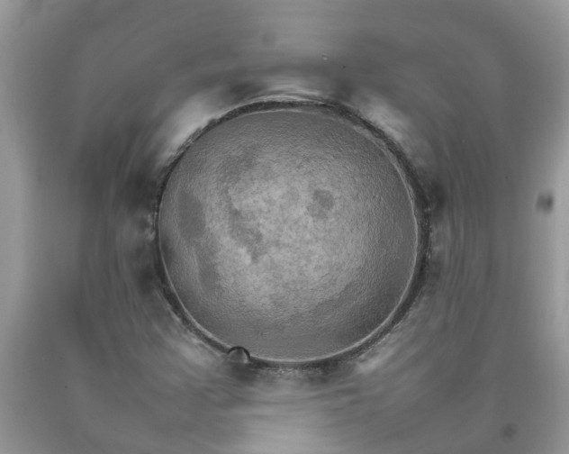 X0000092051355200709191112