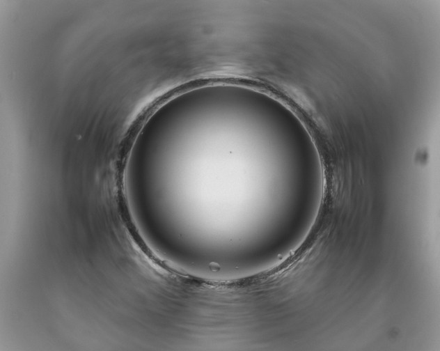 X0000092051356200709191112