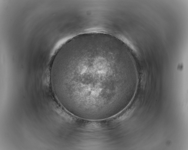 X0000092051358200709191112