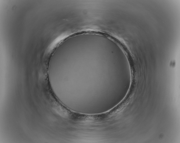 X0000092051359200709191112