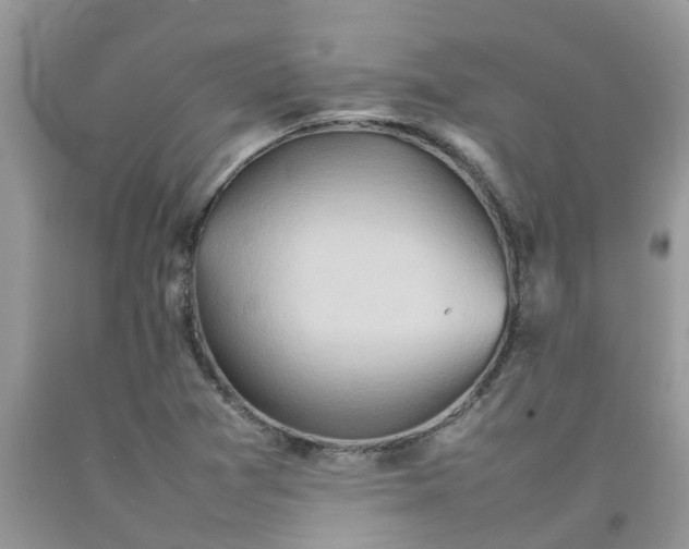 X0000092051361200709191112