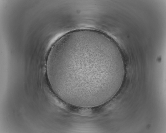 X0000092051363200709191112