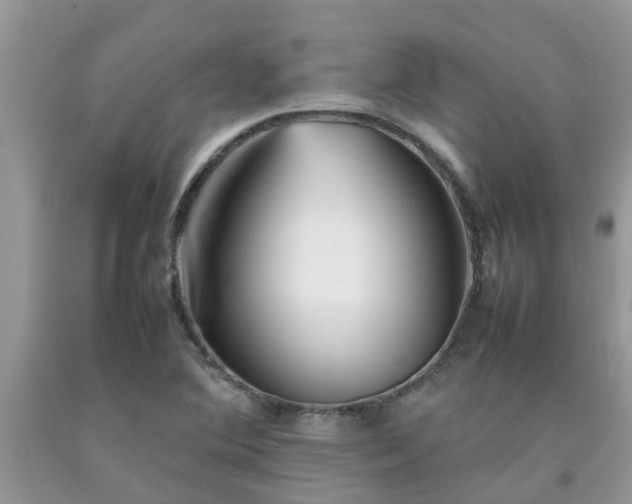 X0000092051364200709191112