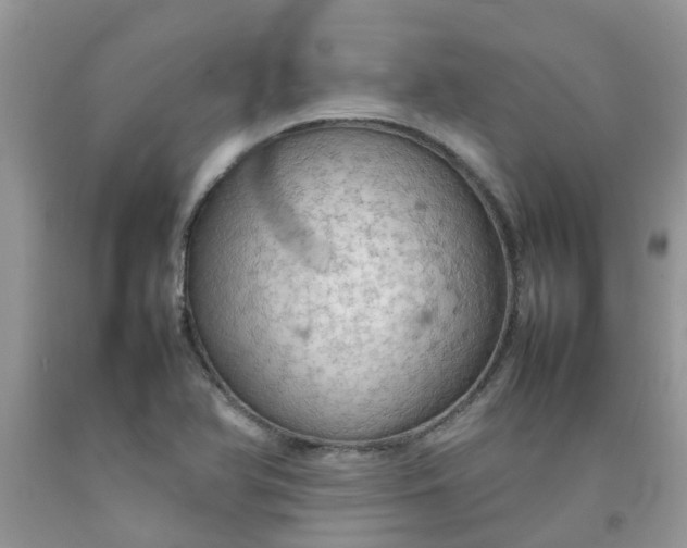 X0000092051366200709191112