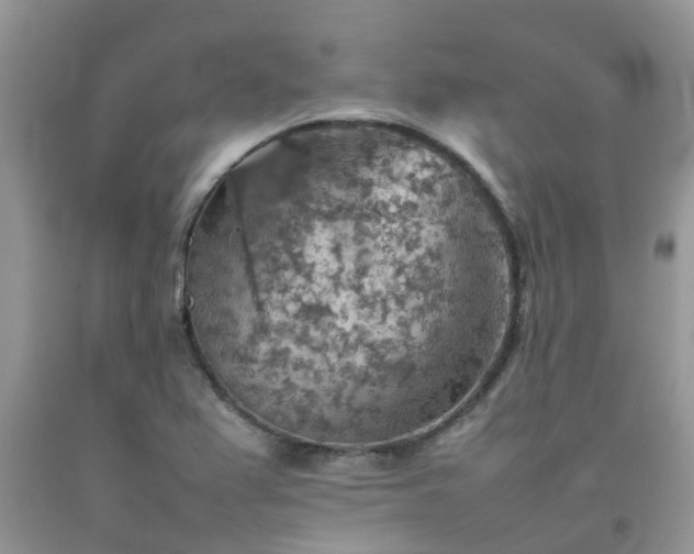 X0000092051367200709191112
