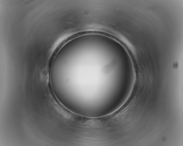 X0000092051368200709191112