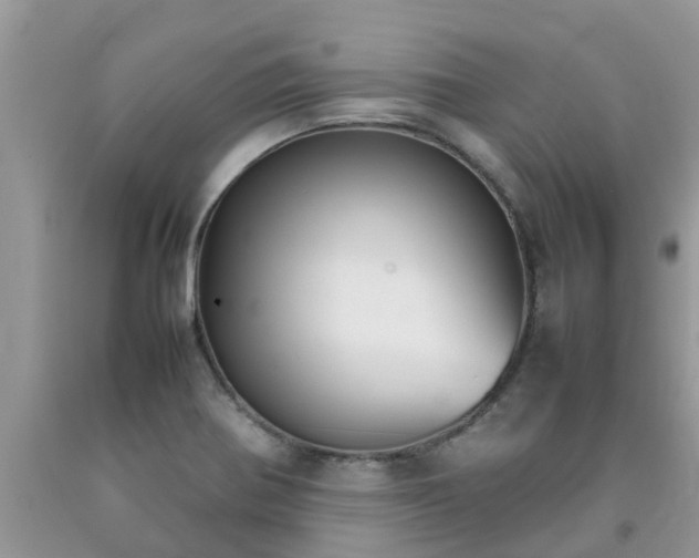 X0000092051370200709191112