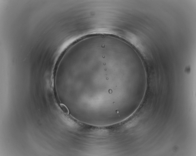 X0000092051372200709191112