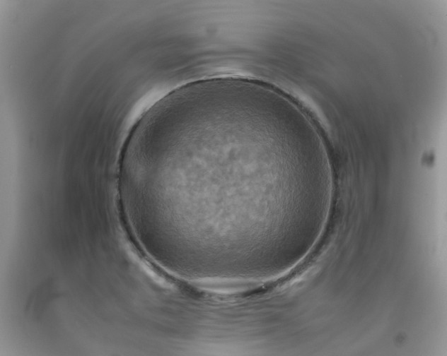 X0000092051373200709191112