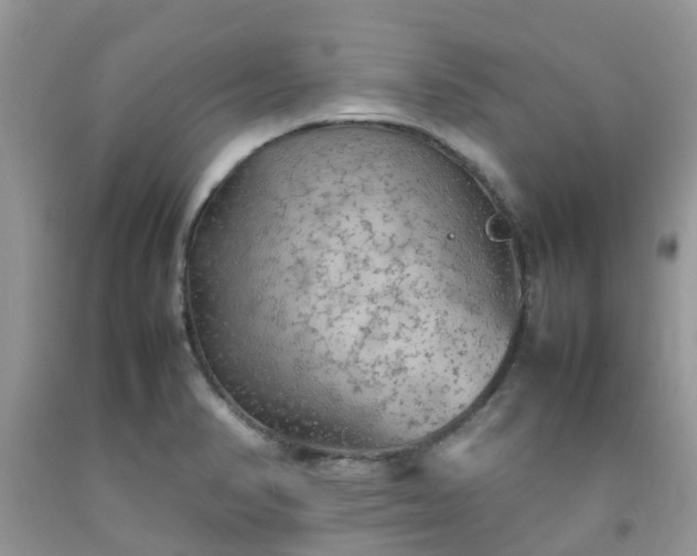 X0000092051374200709191112