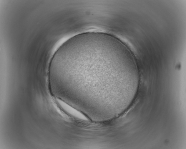 X0000092051375200709191112