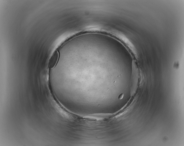 X0000092051376200709191112