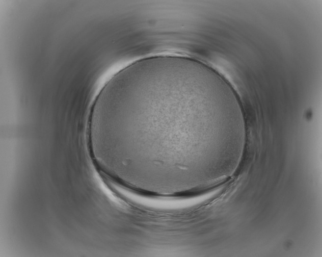 X0000092051379200709191112