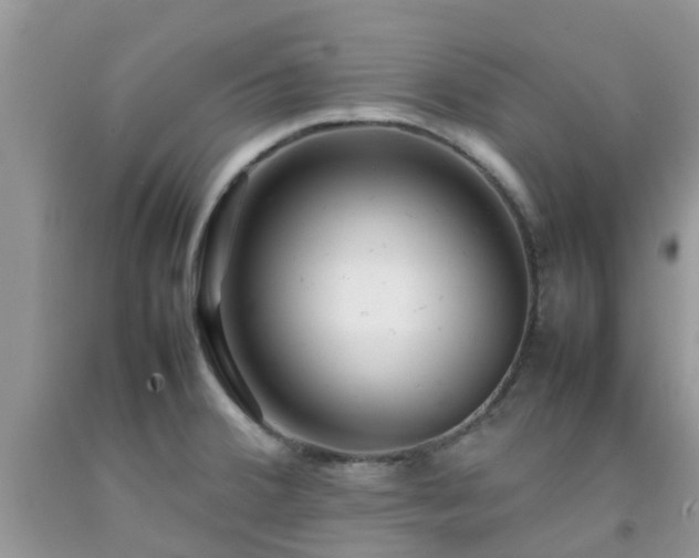 X0000092051380200709191112