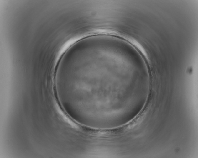 X0000092051381200709191112