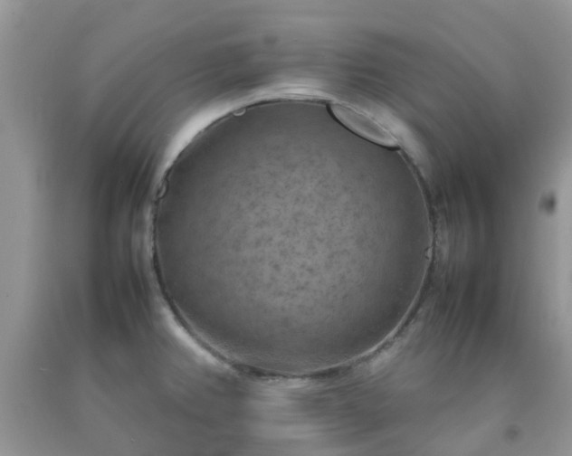 X0000092051382200709191112