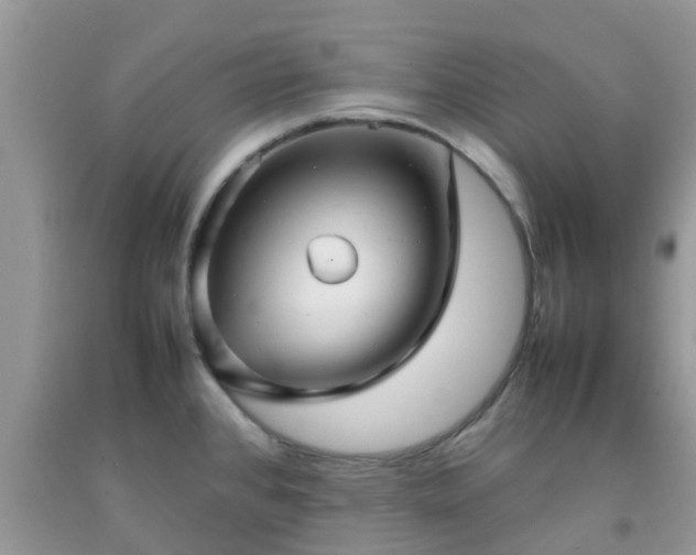 X0000092051384200709191112